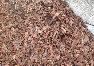picture of a heap of pine bark for bulk purchase
